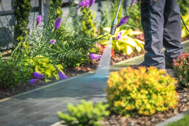 Best Spring Cleaning  in Florissant, MO