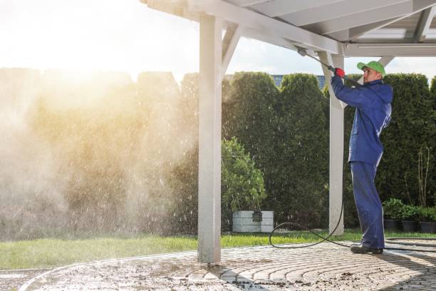 Best Sidewalk and Walkway Cleaning  in Florissant, MO